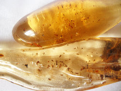 Copal (50 - 60 grams/pc)