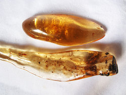 Copal (50 - 60 grams/pc)