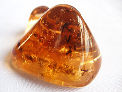 Copal (60 - 80 grams/pc) - 2pc