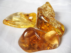 Copal (60 - 80 grams/pc)