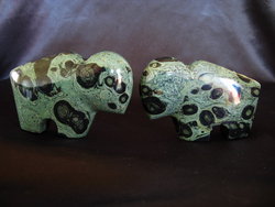 Crocodile Jasper Fetish Buffalo Multi-Box (300pcs)