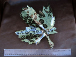 Crocodile Jasper Leaves Large 10pcs