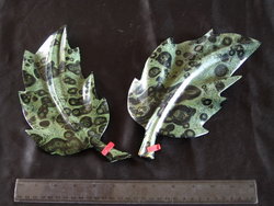 Crocodile Jasper Leaves Medium 10pcs