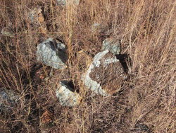 Crocodile Jasper Rough 5 lb Lot