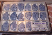 Blue Calcite Fetish Bear Carving