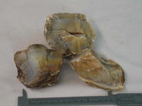 Agate Rough 20 LB LOT