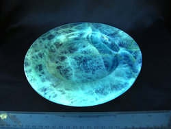 Fluorite Plate Fancy Base 8 inch - 5pcs