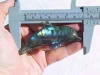 Labradorite Small Dolphin - Fancy Shape