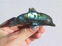 Labradorite Small Dolphin - Fancy Shape