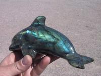 Labradorite Medium Size Dolphin