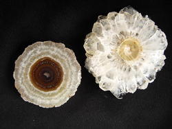 Quartz Stalactite Slice (3-5cm) - 5pcs