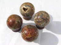 Ammonite Sphere (60mm)