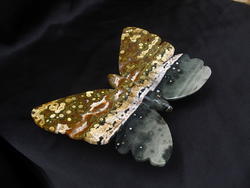 Sea Jasper Butterfly - Medium