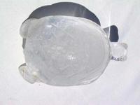 Quartz Turtle - Large