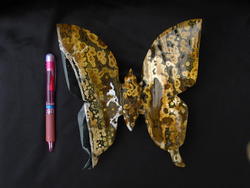 Sea Jasper Butterfly - Large