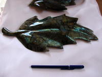 Labradorite Leaves - Large 10 PCS