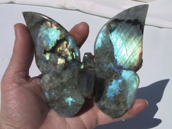 Labradorite Butterfly - Small