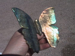 Labradorite Butterfly - Large
