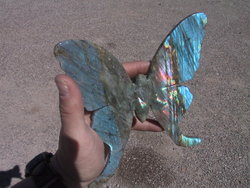 Labradorite Butterfly - Large