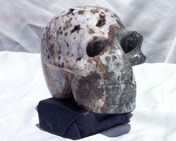 Sea Jasper Skull - Large