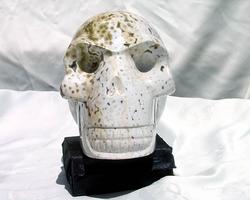Sea Jasper Skull - Large