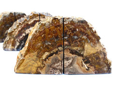 Petrified Wood Bookends (3-5Kg) - AAA - 10 pairs