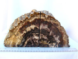 Petrified Wood Bookends (3-5Kg) - AAA - 10 pairs