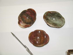 Petrified Wood Wavy Bowl - 5pcs