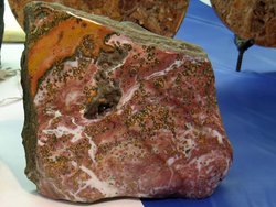Sea Jasper Plaque - Large 49Kg