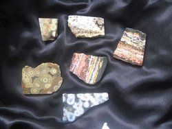 Orbicular Jasper Polished One Face 5lb
