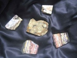 Orbicular Jasper Polished One Face 5lb