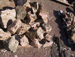 Sea Jasper Rough - AA Quality 500 lb Lot