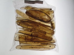 Copal Polished with Insects Extra - 250 Gram Lot