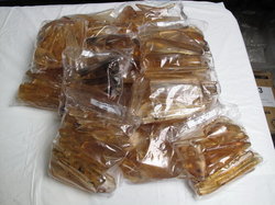 Copal Polished with Insects Extra - 250 Gram Lot