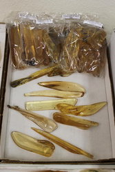 Copal Polished with Insects Extra - 250 Gram Lot