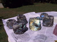 Labradorite Candle Holder 20pcs
