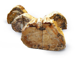 Petrified Wood Bookends (1-3Kg) - AA - 5 pairs