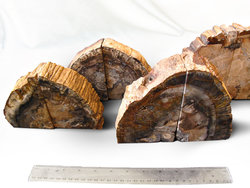 Petrified Wood Bookends (1-3Kg) - AA - 5 pairs