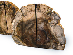 Petrified Wood Bookends (3-5Kg) - AA