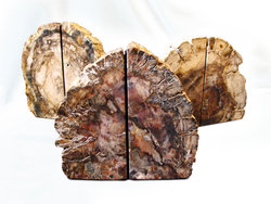 Petrified Wood Bookends (3-5Kg) - AA