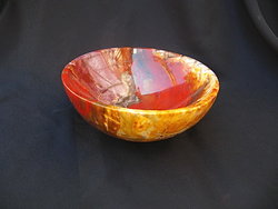 Petrified Wood Bowl 5 inch