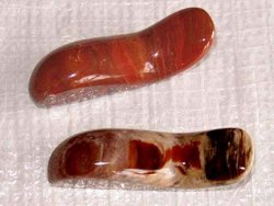 Petrified Wood Massage tool - Handheld Design 5pcs
