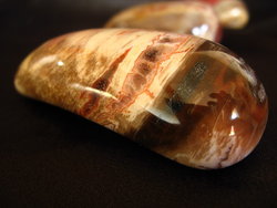 Petrified Wood Massage Tools - Round Design 5 flats (90pcs)