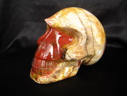 Petrified Wood Skull - 5pcs