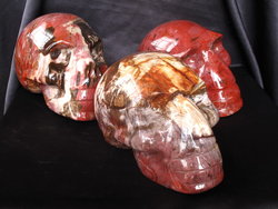 Petrified Wood Skull - 5pcs