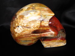 Petrified Wood Skull - 5pcs
