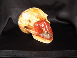Petrified Wood Skull - 5pcs