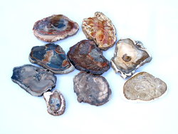 Petrified Wood Slice (1-3 inch) AA Quality 40 LB Lot