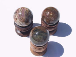 Petrified Wood Spheres 40 mm 5pc Lot