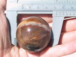 Petrified Wood Spheres 40 mm 5pc Lot